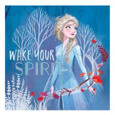 Disney Frozen 2 Wake Your Spirit Elsa Canvas Print (30cm x 30cm)