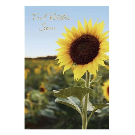 Feel Better Soon Sunflower Card  £0.35
