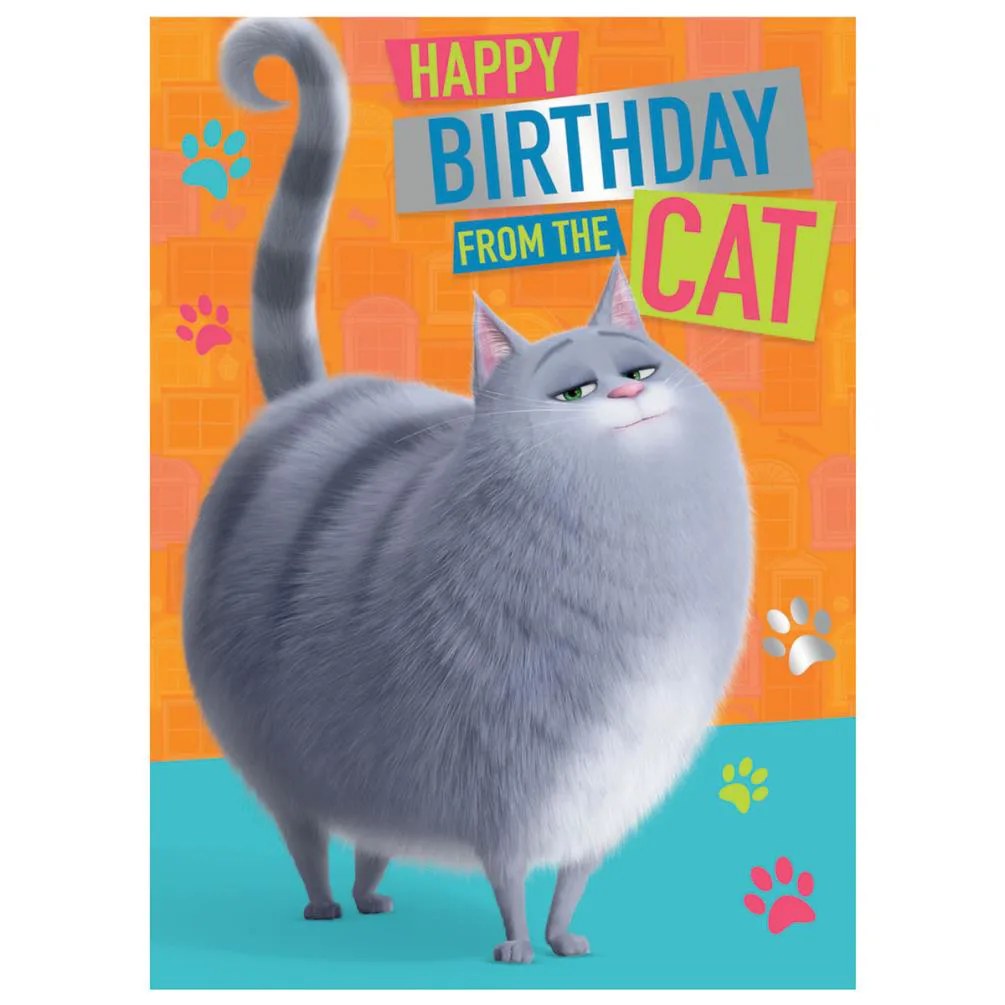 From The Cat The Secret Life Of Pet Birthday Card