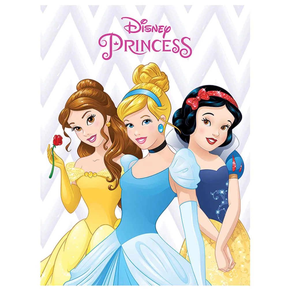 Disney Princess Canvas Print (30cm x 40cm)