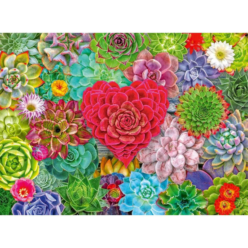 Succulent Love 500pc Jigsaw Puzzle Extra Image 1