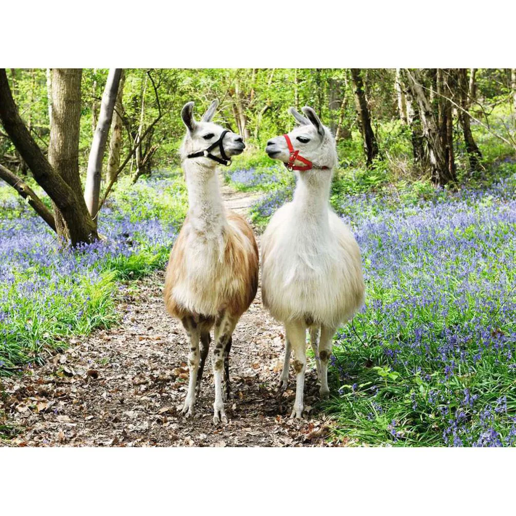 Llama Love XXL 100pc Jigsaw Puzzle Extra Image 1