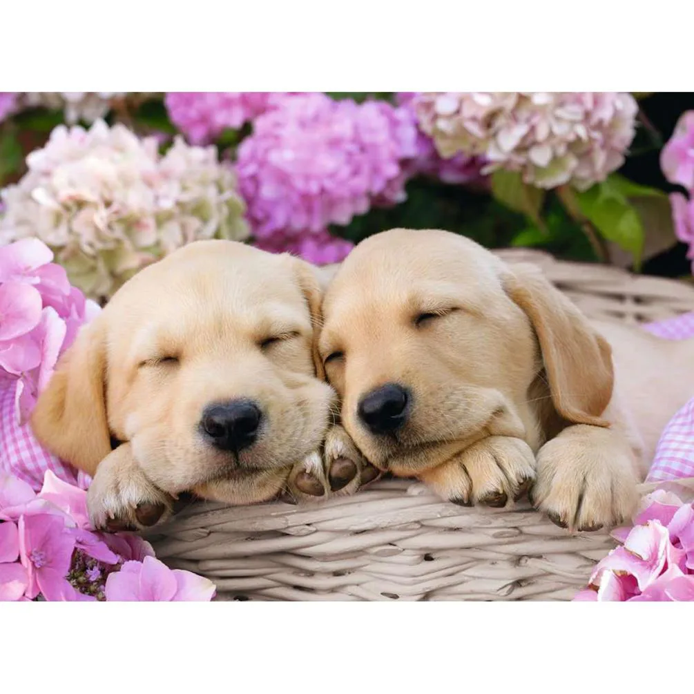 Cute Friends XXL 300pc Jigsaw Puzzle Extra Image 1