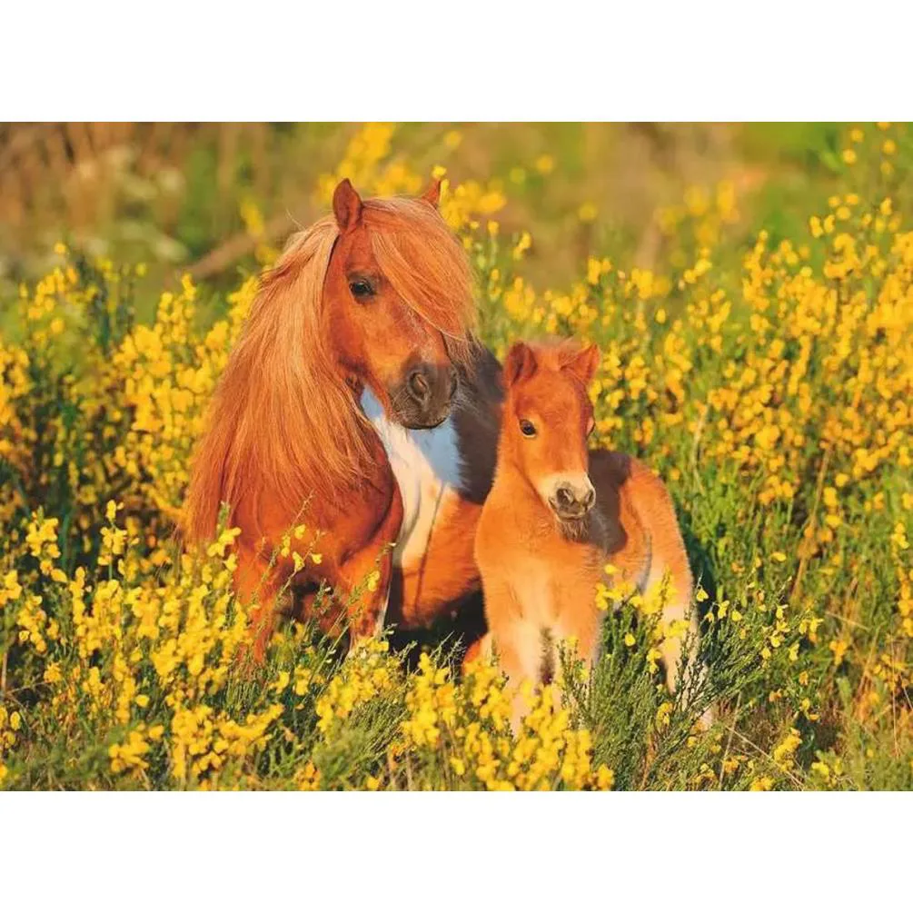 Shetland Pony XXL 100pc Jigsaw Puzzle Extra Image 1