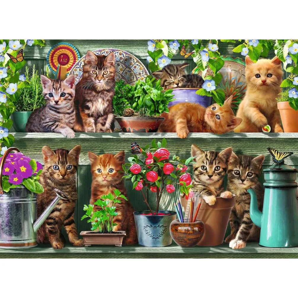 Cats on the Shelf 500pc Jigsaw Puzzle Extra Image 1