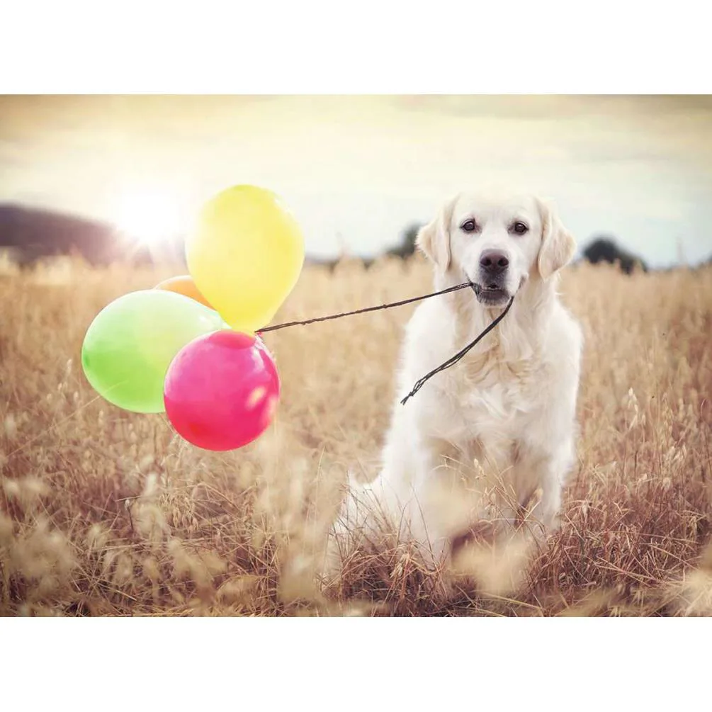 Balloon Party 500pc Jigsaw Puzzle Extra Image 1