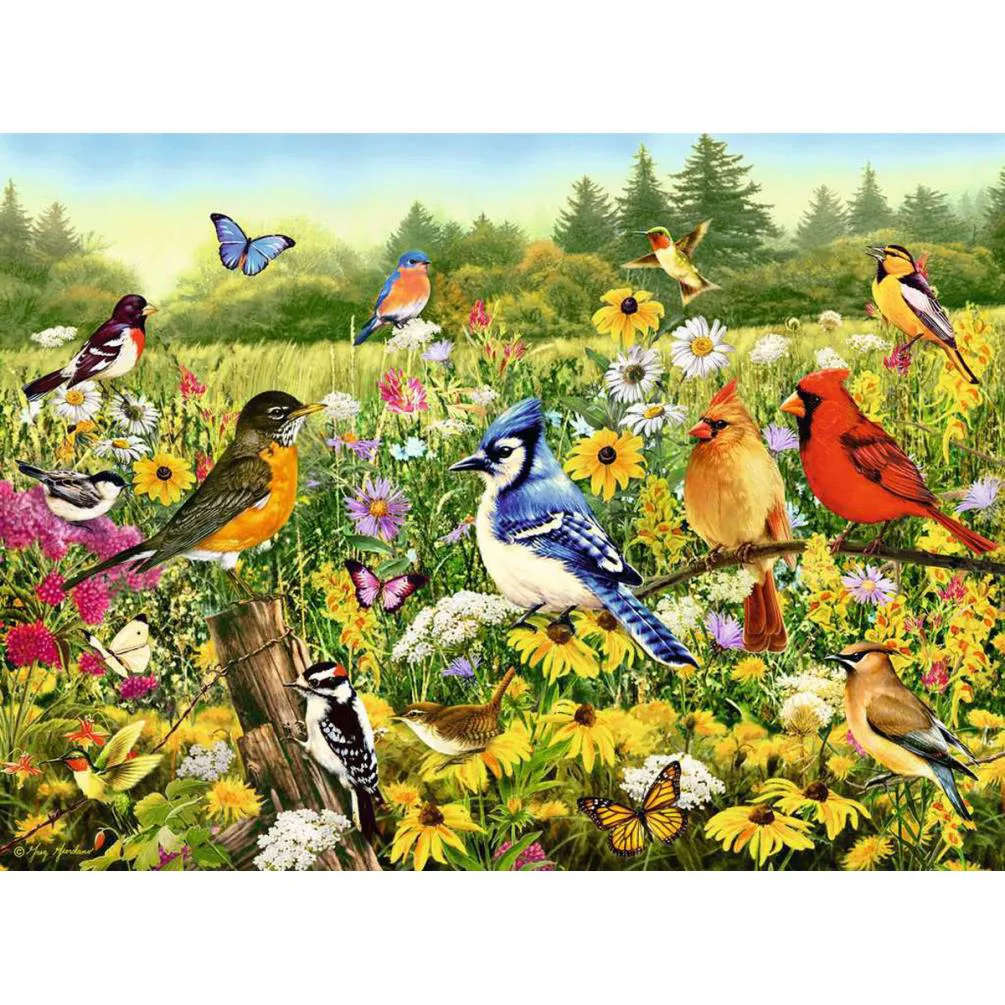 Birds in the Meadow 500pc Jigsaw Puzzle Extra Image 1