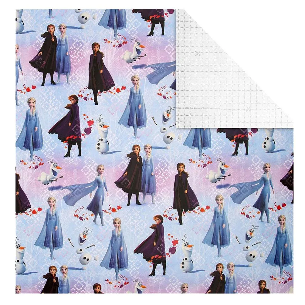 Disney Frozen 2m Roll Wrap Extra Image 1