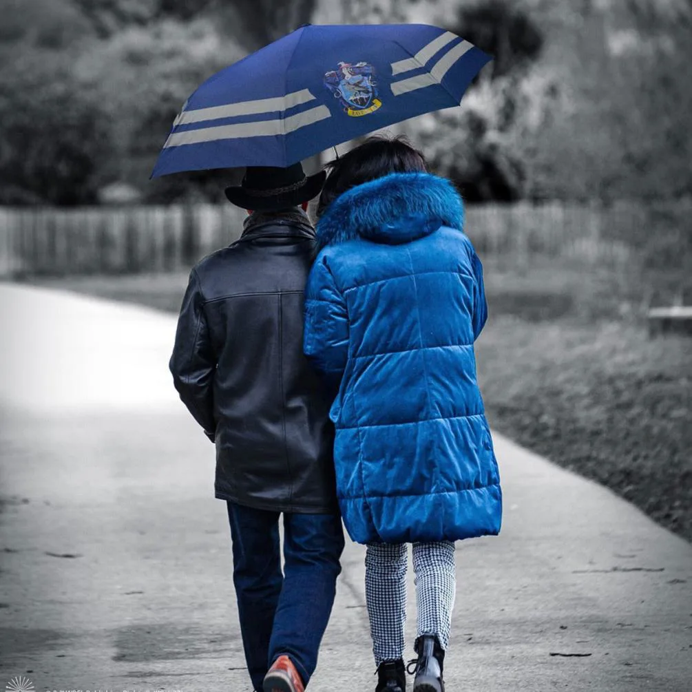 Harry Potter Ravenclaw Logo Umbrella Extra Image 2