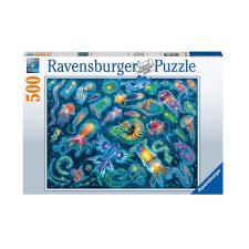 Colourful Underwater Species 500pc Jigsaw Puzzle