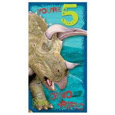 You Are 5 Dino-rific Natural History Museum Birthday Card
