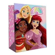 Disney Princess Large Gift Bag