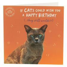 Battersea Cat Humour Birthday Card