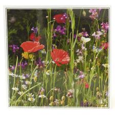 Royal Horticultural Society Wild Poppies Card