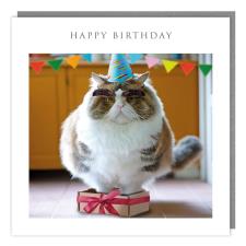 Grumpy Cat with Party Hat Birthday Card