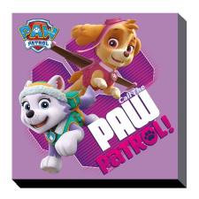 Paw Patrol Skye & Everest Canvas Print (30cm x 30cm)