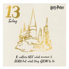 13 Today Harry Potter 13th Birthday Card