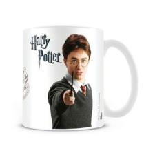 Harry Potter Casting Spell Coffee Mug