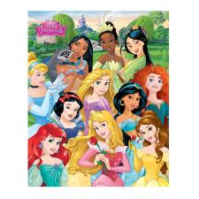 Disney Princess I am a Princess Mini Poster