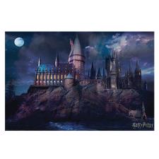 Harry Potter Hogwarts Maxi Poster