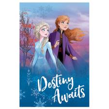 Disney Frozen 2 Destiny Awaits Maxi Poster