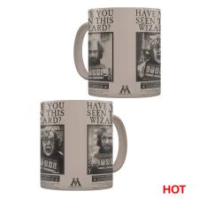 Harry Potter Wanted Sirius Black Heat Changing Mug