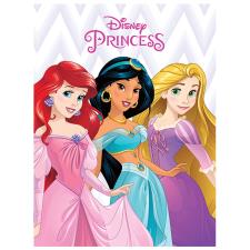 Disney Princesses Canvas Print (30cm x 40cm)