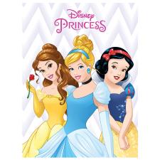 Disney Princess Canvas Print (30cm x 40cm)