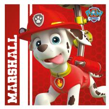 Paw Patrol Marshall Canvas Print (40cm x 40cm)