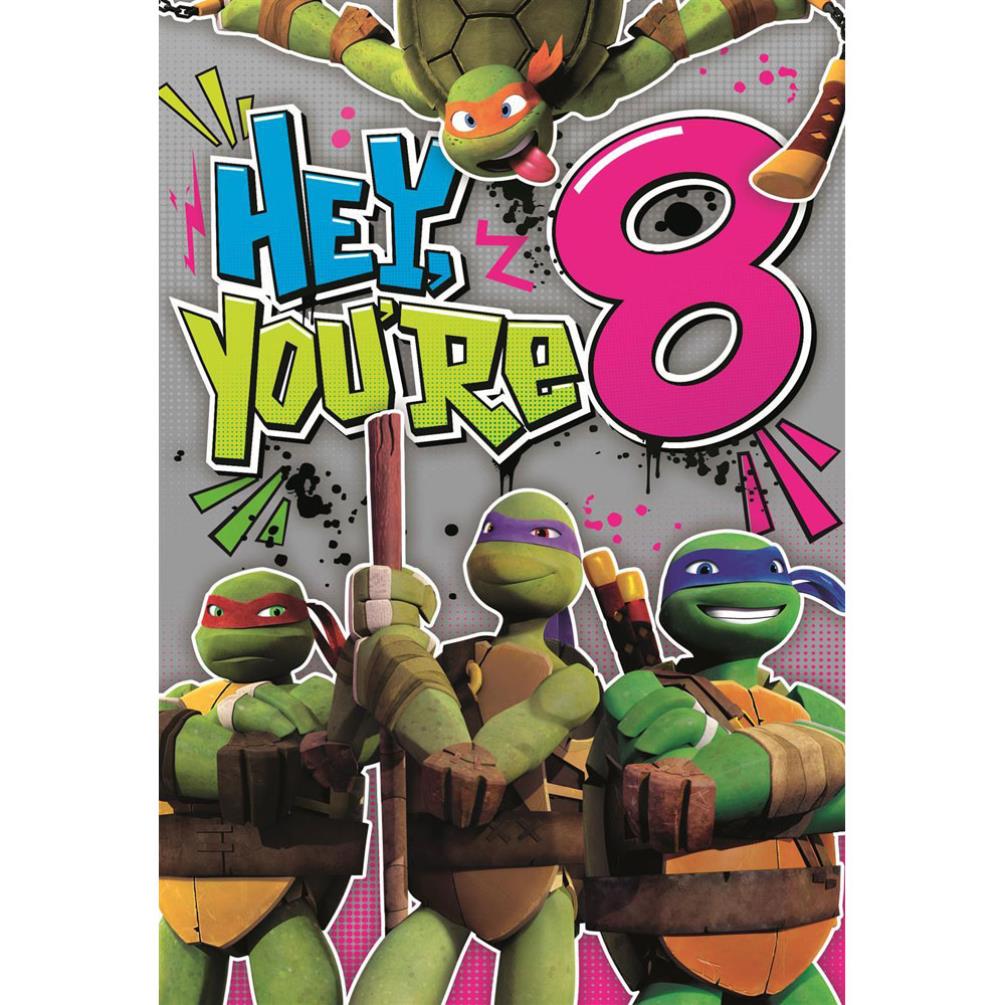 8th Birthday Teenage Mutant Ninja Turtles Birthday Card 