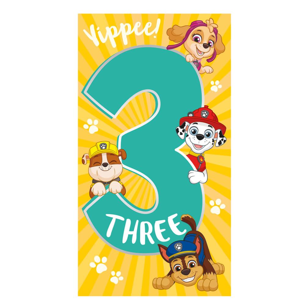 3rd Birthday Paw Patrol Birthday Card Pa082 Character Brands