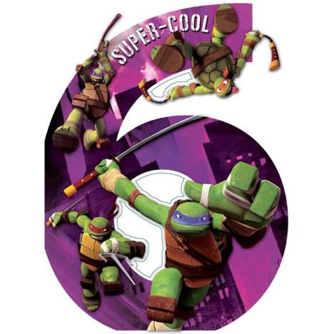 6th Birthday Teenage Mutant Ninja Turtles Large Birthday Card  £2.40