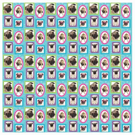 Pugs 2m Roll Wrap  £1.49