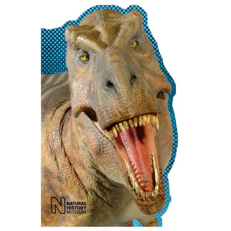 T Rex Shaped Natural History Museum Birthday Card  £0.99