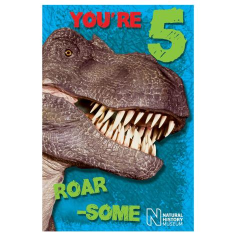 5th Birthday Natural History Museum Birthday Card  £1.99