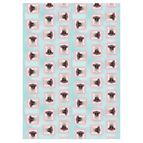 Pugs 4m Roll Wrap  £2.99