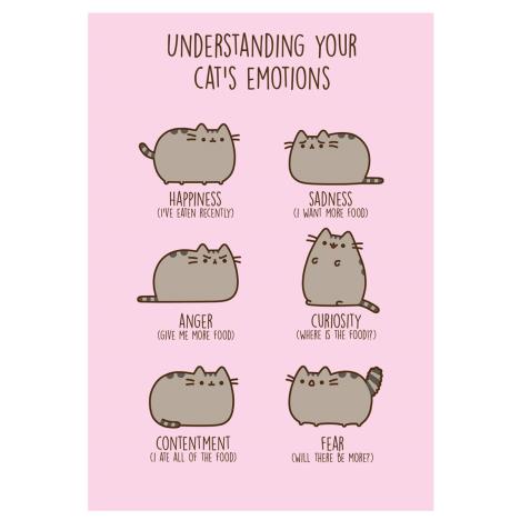 Understanding Emotions Pusheen Birthday Card  £1.99