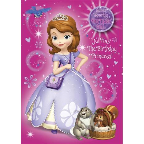 Birthday Girl Sofia Disney Princess Birthday Card  £1.85
