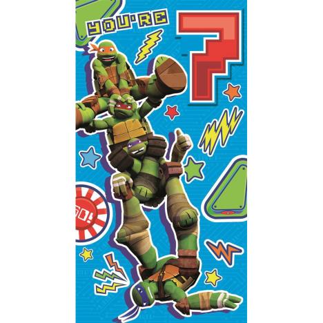 7th Birthday Teenage Mutant Ninja Turtles Birthday Card  £2.40