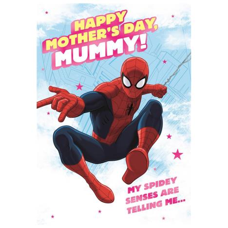 Mummy Spiderman Mother