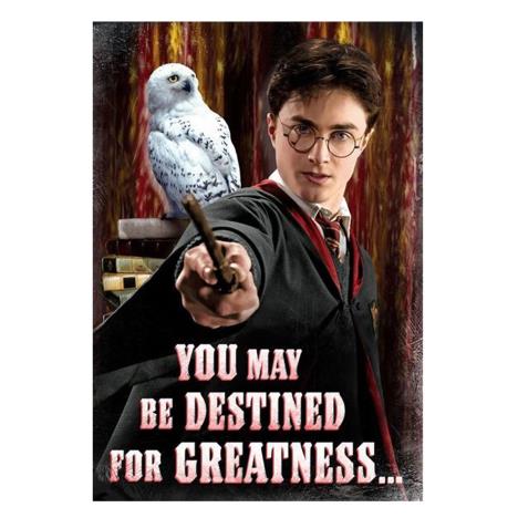 Harry Potter Destined For Greatness Birthday Card  £1.45