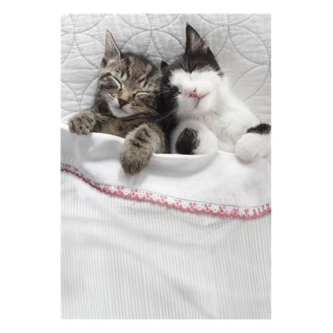 Sleeping Kittens Greetings Card  £0.25