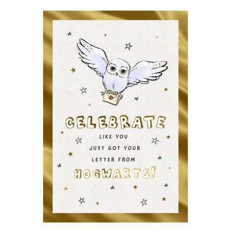 Harry Potter Letter From Hogwarts Birthday Card  £1.99