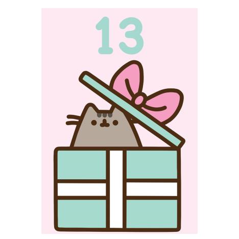 Pusheen 13th Birthday Card  £1.99