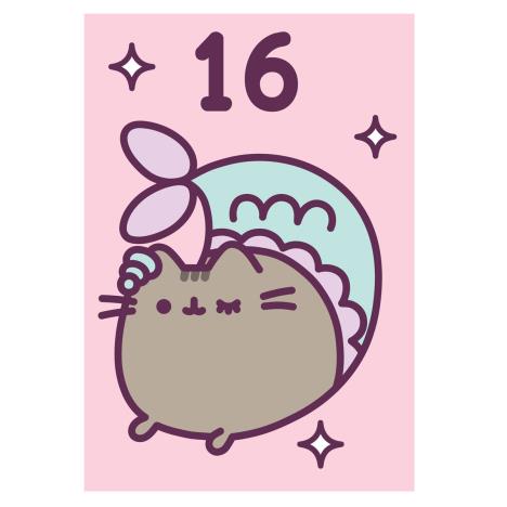 Pusheen 16th Birthday Card  £1.99