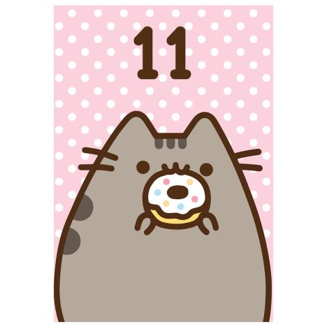 Pusheen 11th Birthday Card  £1.99