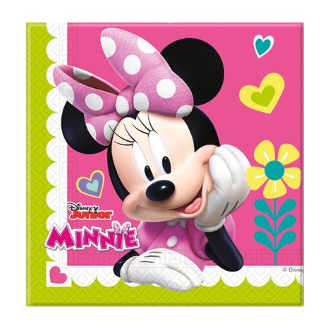 Minnie Mouse Paper Napkins (Pack of 20)  £2.99