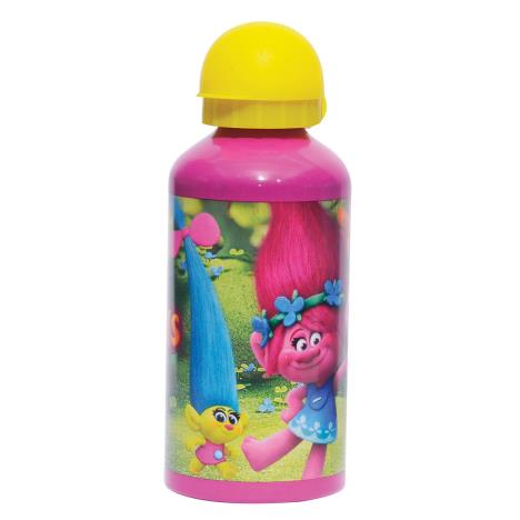Trolls 500ml Purple Aluminium Bottle   £3.99