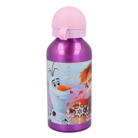 Disney Frozen 2 400ml Aluminium Bottle  £6.49