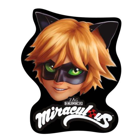 Miraculous Ladybug Shaped Cat Noir Cushion  £8.99